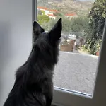 Pedra Nova Hétvégi ház