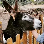 Hétvégi ház Pedra Nova