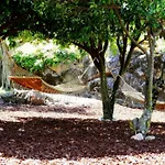 Country house Pedra Nova *