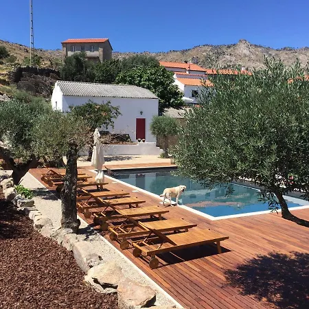 乡村民宿 Pedra Nova Castelo Novo