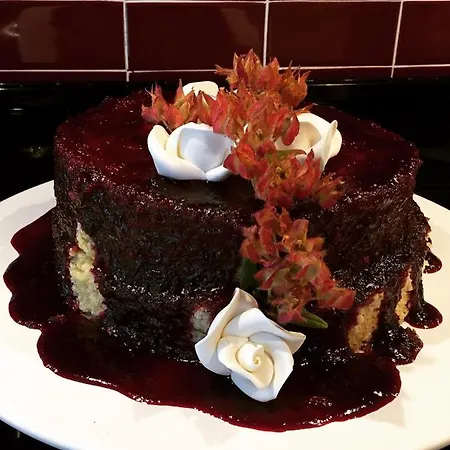 Pedra Nova Castelo Novo