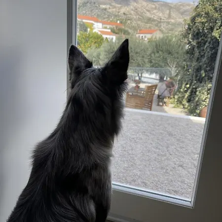 Pedra Nova Hétvégi ház