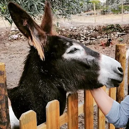 乡村民宿 Pedra Nova