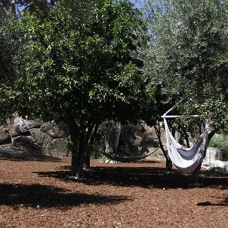 乡村民宿 Pedra Nova Castelo Novo