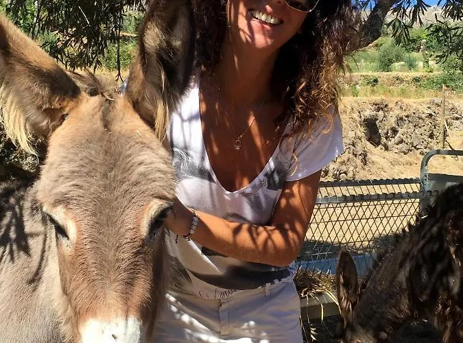 Country house Pedra Nova