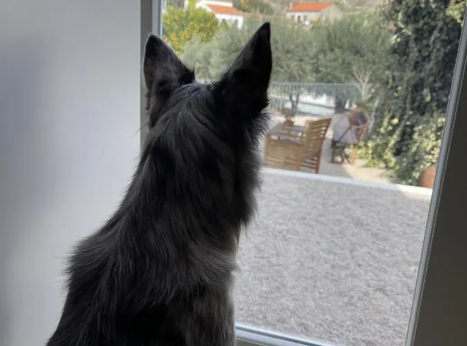 Pedra Nova Séjour à la campagne