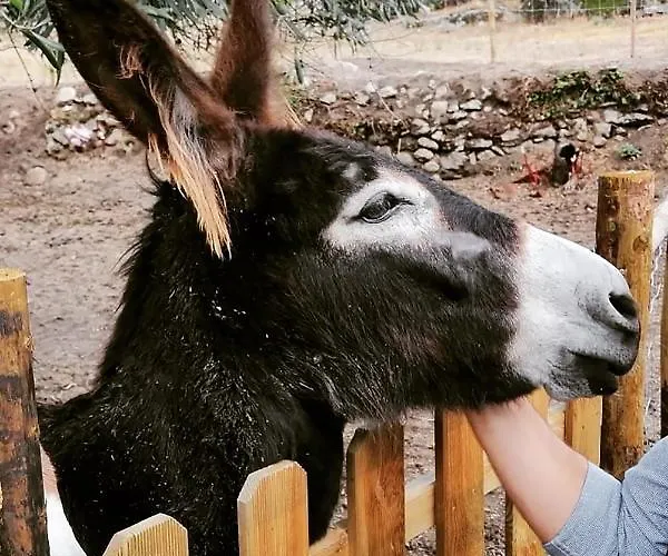 Séjour à la campagne Pedra Nova