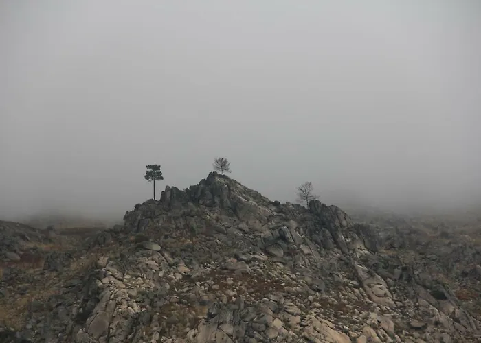 Pedra Nova *